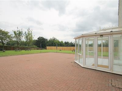 Picture 11